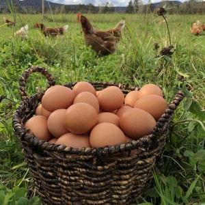 Eggandeler uttak