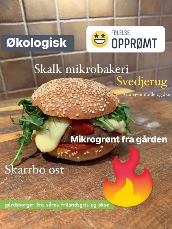 Hamburgere okse