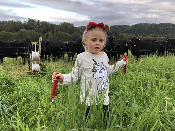 Julegavetips: Jord til bord. Farm to fork (barn)
