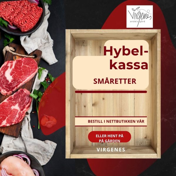 Hybelkasse
