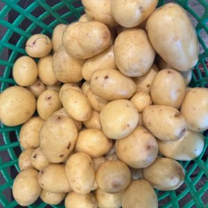 Julepotet kokefast Sigrid Undset 5 kg