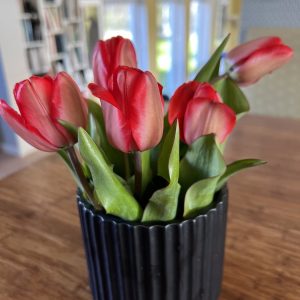 Bukett økologiske tulipaner på andel